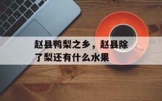赵县鸭梨之乡，赵县除了梨还有什么水果