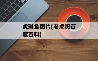 虎斑鱼图片(老虎斑百度百科)