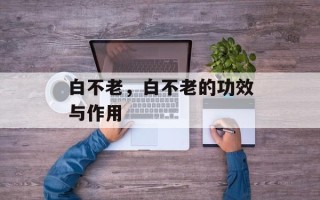 白不老，白不老的功效与作用