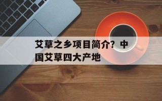 艾草之乡项目简介？中国艾草四大产地