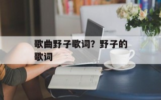 歌曲野子歌词？野子的歌词