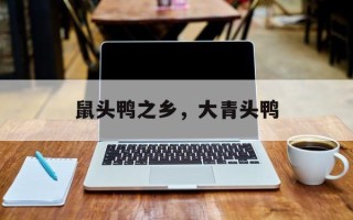 鼠头鸭之乡，大青头鸭