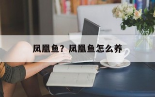 凤凰鱼？凤凰鱼怎么养