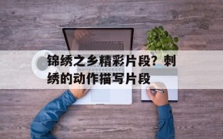 锦绣之乡精彩片段？刺绣的动作描写片段