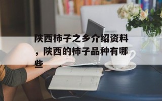 陕西柿子之乡介绍资料，陕西的柿子品种有哪些