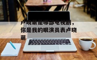 卢晓萌是哪部电视剧，你是我的眼演员表卢晓萌