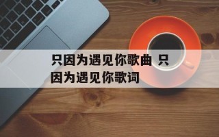 只因为遇见你歌曲 只因为遇见你歌词