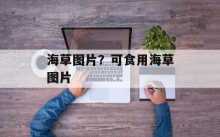海草图片？可食用海草图片