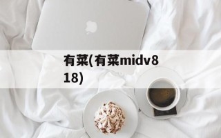 有菜(有菜midv818)