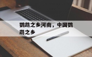 鹦鹉之乡河南，中国鹦鹉之乡