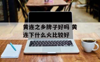 黄连之乡牌子好吗 黄连下什么火比较好