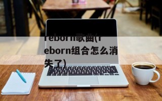 reborn歌曲(reborn组合怎么消失了)