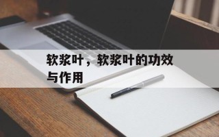 软浆叶，软浆叶的功效与作用