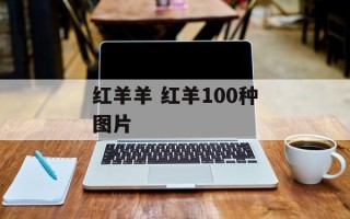 红羊羊 红羊100种图片