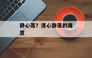 静心莲？清心静莲的寓意