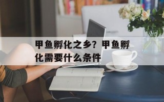 甲鱼孵化之乡？甲鱼孵化需要什么条件