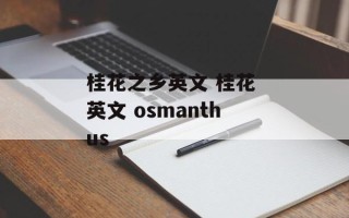 桂花之乡英文 桂花 英文 osmanthus
