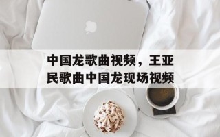 中国龙歌曲视频，王亚民歌曲中国龙现场视频