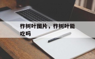 柞树叶图片，柞树叶能吃吗