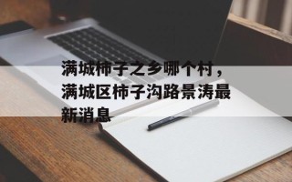 满城柿子之乡哪个村，满城区柿子沟路景涛最新消息