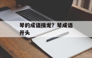 琴的成语接龙？琴成语开头