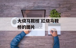 大烧马鞍桥 红烧马鞍桥的图片