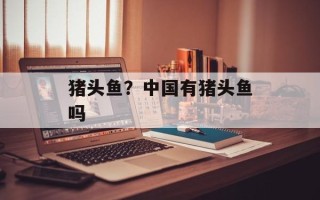 猪头鱼？中国有猪头鱼吗