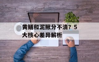 黄鳝和泥鳅分不清？5大核心差异解析