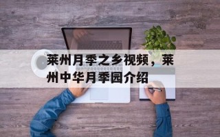莱州月季之乡视频，莱州中华月季园介绍