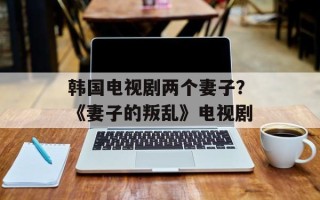 韩国电视剧两个妻子？《妻子的叛乱》电视剧