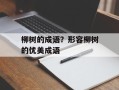 柳树的成语？形容柳树的优美成语