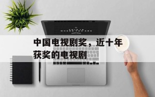 中国电视剧奖，近十年获奖的电视剧