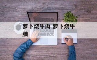 萝卜烧牛肉 萝卜烧牛腩