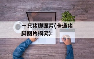 一只猪脚图片(卡通猪脚图片搞笑)