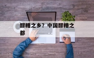 醪糟之乡？中国醪糟之都