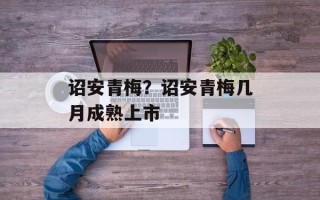 诏安青梅？诏安青梅几月成熟上市