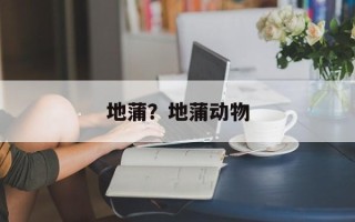 地蒲？地蒲动物