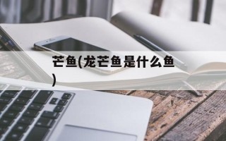 芒鱼(龙芒鱼是什么鱼)