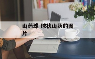 山药球 球状山药的图片