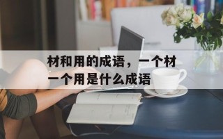 材和用的成语，一个材一个用是什么成语