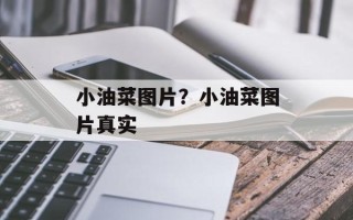 小油菜图片？小油菜图片真实