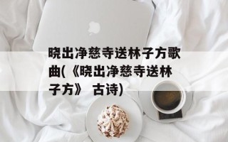 晓出净慈寺送林子方歌曲(《晓出净慈寺送林子方》 古诗)