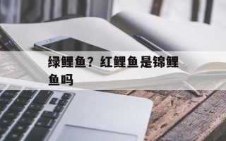 绿鲤鱼？红鲤鱼是锦鲤鱼吗