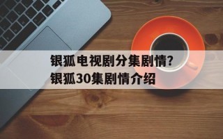 银狐电视剧分集剧情？银狐30集剧情介绍