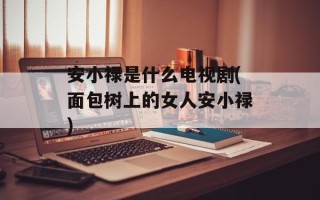 安小禄是什么电视剧(面包树上的女人安小禄)