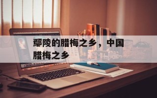 鄢陵的腊梅之乡，中国腊梅之乡