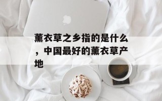 薰衣草之乡指的是什么，中国最好的薰衣草产地