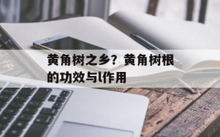 黄角树之乡？黄角树根的功效与l作用