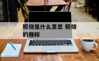 照烧是什么意思 照烧的雅称
