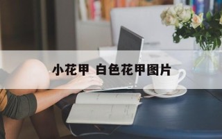 小花甲 白色花甲图片